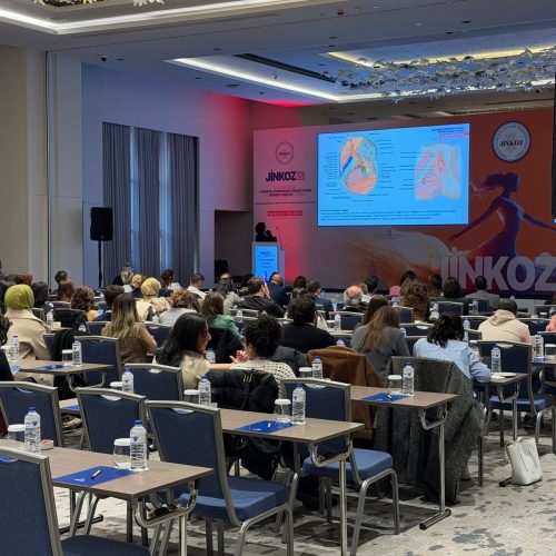 WhatsApp Image 2026-03-29 at 11.42.15 (1)